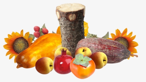 Tubes Fruits,tubes Legumes,clipart,png Fruit,psp,vector - Mcintosh, Transparent Png, Transparent PNG
