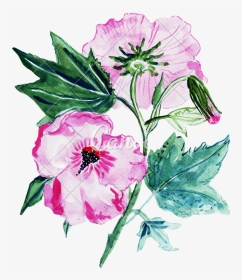 Illustration Sketch Several Flowers Clipart , Png Download - Bouquet, Transparent Png, Transparent PNG