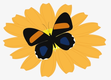 Butterfly,flower,honey Bee - Butterfly, HD Png Download, Transparent PNG