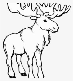Transparent Moose Clipart Black And White - Maine Moose Coloring Page, HD Png Download, Transparent PNG