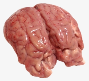 Brain Meat, HD Png Download, Transparent PNG