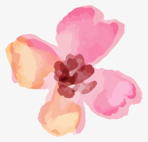 Flower Transparent Watercolour Png Pink, Png Download, Transparent PNG