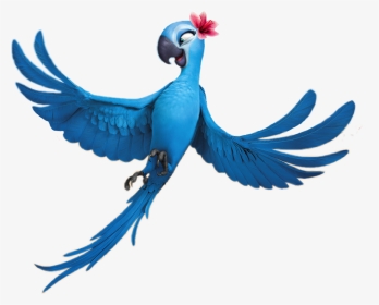 Bird Clipart Rio - Jewel Rio, HD Png Download, Transparent PNG