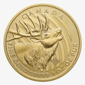 2020 Gold Maple Leaf Coin, HD Png Download, Transparent PNG