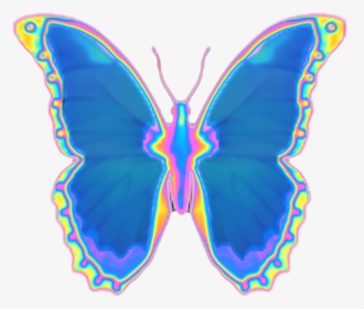 #butterfly #emoji #holographic, HD Png Download, Transparent PNG