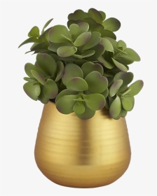 Flowerpot, HD Png Download, Transparent PNG