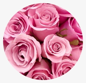 #pink #circle #aesthetic #aestheticcircle #pinkaesthetic - Pink Roses Circle Aesthetic, HD Png Download, Transparent PNG