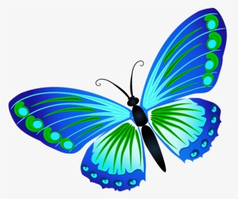 Картинка Бабочка Для Детей На Прозрачном Фоне - Бабочки Рисунок Пнг, HD Png Download, Transparent PNG