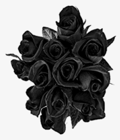 #black #rose #roses #buquet - Transparent Black Rose, HD Png Download, Transparent PNG