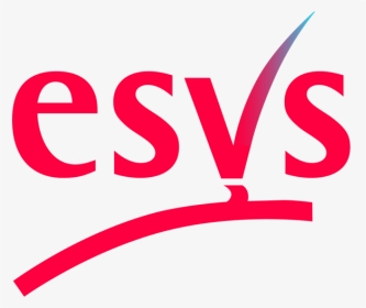 Esvs, HD Png Download, Transparent PNG