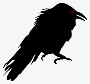 Crow Silhouette Transparent Background, HD Png Download, Transparent PNG