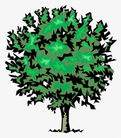 Vector Illustration Of Mature Deciduous Tree - Maple Leaf, HD Png Download, Transparent PNG