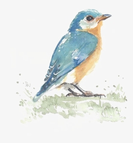 Clip Art Birds Painting Watercolor, HD Png Download, Transparent PNG