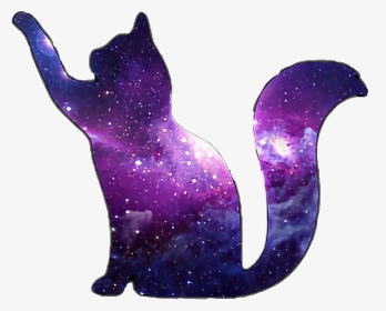 Kitty Galaxy, HD Png Download, Transparent PNG