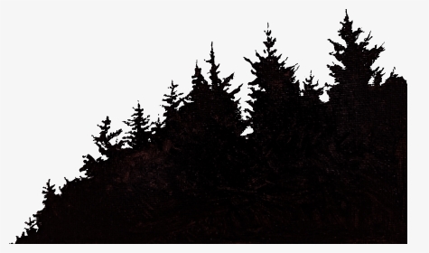Shortleaf Black Spruce, HD Png Download, Transparent PNG