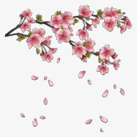 #aesthetic #flowers #flower #pink #pinkaesthetic #overlay - Cherry Blossom Png Hd, Transparent Png, Transparent PNG