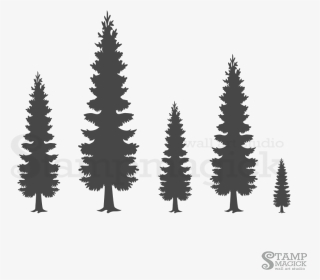 Pine Trees Forest Wall Decal K Stampmagick - Wall Art Christmas Trees, HD Png Download, Transparent PNG