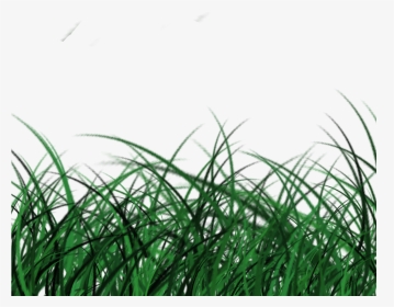Posted By Jurassic Kart At - Sweet Grass, HD Png Download, Transparent PNG