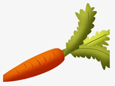 Vegetables Clipart Popular - Transparent Background Carrot Clipart, HD Png Download, Transparent PNG