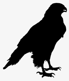 Common Raven Clip Art Silhouette Crow Drawing - Silhouette Of A Raven, HD Png Download, Transparent PNG