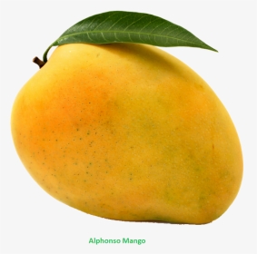 Mango - Mango Png, Transparent Png, Transparent PNG