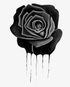 #drippingrose #dripping #blackrose #rose #chanel#freetoedit - Drawing, HD Png Download, Transparent PNG