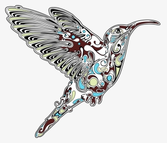 Kiera Hummingbird Canvas Print - Illustration, HD Png Download, Transparent PNG