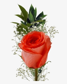 Single Assorted Color Roses Filler Flowers For Mother - Single Flowers, HD Png Download, Transparent PNG
