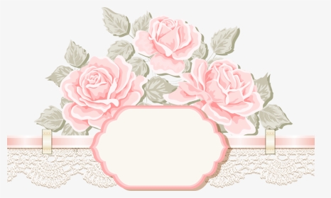#ftestickers #flowers #roses #lace #banner #divider - Garden Roses, HD Png Download, Transparent PNG