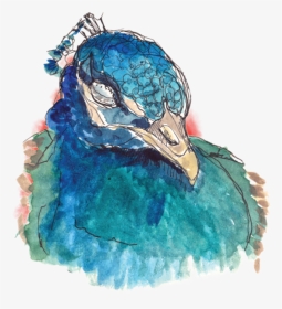 Peacock Watercolor/ink On Paper, HD Png Download, Transparent PNG