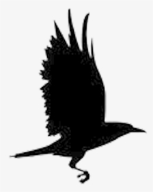 Transparent Raven Clipart Png - Raven New Hope Logo, Png Download, Transparent PNG