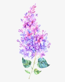 #kpopedits #kpop #kawaii  #lilac #flower #watercolour - Flower Purple Pink Png, Transparent Png, Transparent PNG