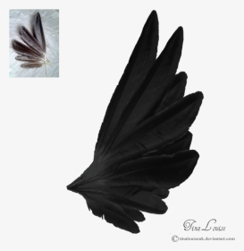 Black Angel Wings Side View, HD Png Download, Transparent PNG