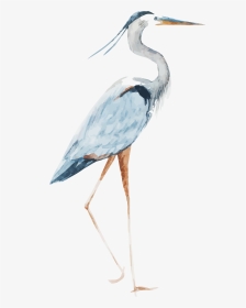 Heron Watercolor - Crane Bird Watercolor Transparent, HD Png Download, Transparent PNG