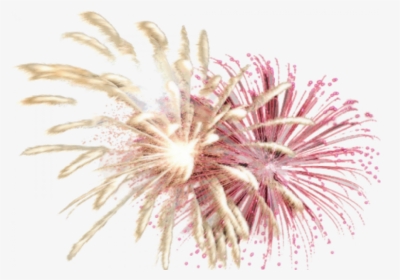 Pink And Yellow Transparent Fireworks, HD Png Download, Transparent PNG