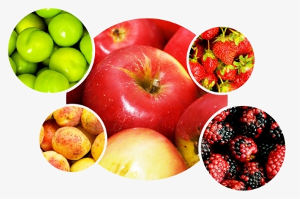 Fruits Et Legumes Png, Transparent Png, Transparent PNG