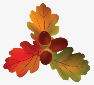 Autumn Leaves With Fruits Vector, HD Png Download, Transparent PNG