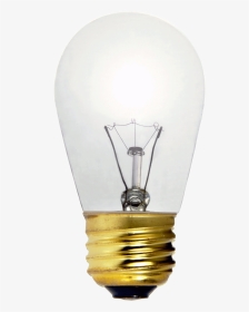 Transparent Light Bulb Outline Png - Incandescent Light Bulb, Png Download, Transparent PNG