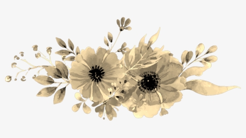 #sepia #flowers #aesthetic - African Daisy, HD Png Download, Transparent PNG