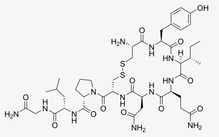 File - Oxytocin - Love Chemical Structure, HD Png Download, Transparent PNG