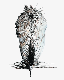 Sketch, HD Png Download, Transparent PNG