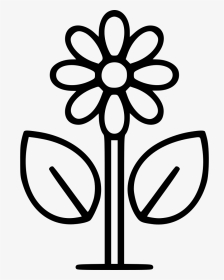 Flower - Transparent Flower Vase Icon, HD Png Download, Transparent PNG
