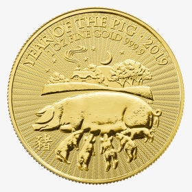 Lunar 2019 Year Of The Pig 1 Oz Gold Coin    Src Https - Gold Coin Year Of The Pig 1 Oz 2019, HD Png Download, Transparent PNG
