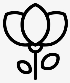 Flower - Flower Line Icon, HD Png Download, Transparent PNG