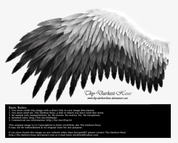 Black To White Wings , Png Download - White And Black Wings, Transparent Png, Transparent PNG