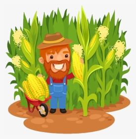 Png Library Stock Agriculture Clipart Corn Field - Farmer In Cornfield Clip Art, Transparent Png, Transparent PNG