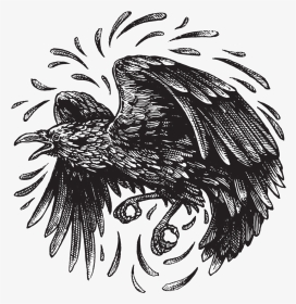 Redbubble-raven - Illustration, HD Png Download, Transparent PNG