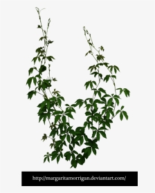 Climber Planting Cut Out, HD Png Download, Transparent PNG