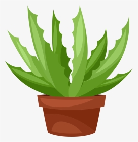 Cactus Clipart Png, Transparent Png, Transparent PNG