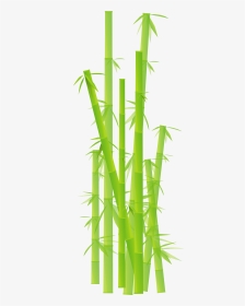 Bamboo Png - Transparent Background Bamboo Clipart, Png Download, Transparent PNG